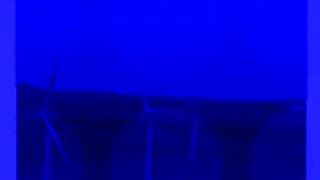 CHEMIST DOGS: #shorts #video #i.h entertainment