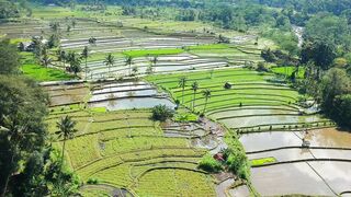 Beautifull Earth In The World