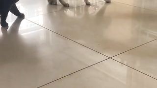Cute cats