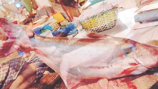 Fish Cutting skills