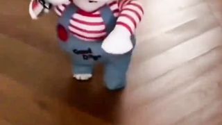 Funny Chucky Dog