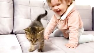 Cat baby funny videos