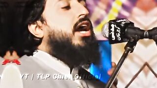 Tlp  zinda bad