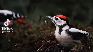 Sad video