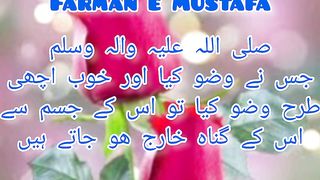 Wazoo sy kesy gunah kharaj hoty hain //@mr.noshahiiii104