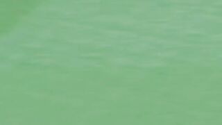 Cricket fans funny fielding