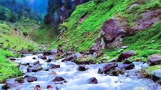 Beauty of Nature|