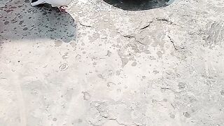 Birds having fun