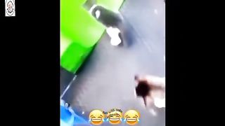 The Ultimate List of Funniest Cat Videos????