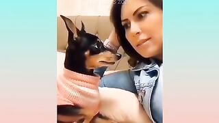 Funny Animals Videos - Funniest  Cats???? And Dogs???? Video Compilation 2023 || 21|| #funnyanimals #funny