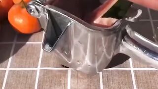 Fruit press