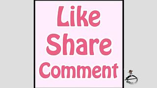 cat videos | cat videos for cats to watch | cat funny videos