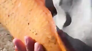 Золотой китайский карп. Редкий трофей на рыбалке. Речные монстры