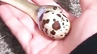 VID-20181230-WA0011