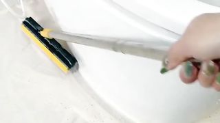 2in1 brush wiper