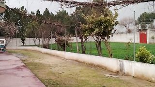 Rain in my Garden