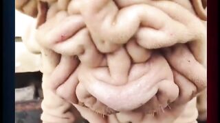 Ooooh  My God What is This?... Try not to laugh .....You have any idea? What is this? Please answer give in comment