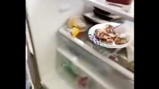 funny animal videos 2023 funny_animal_videos  funny_pets_videos  funny_animal_videos  funny_petz_videos 2023 funny animal funny videos 2023