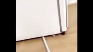 funny animal videos 2023 funny_animal_videos  funny_pets_videos  funny_animal_videos  funny_petz_videos 2023 funny animal funny videos 2023