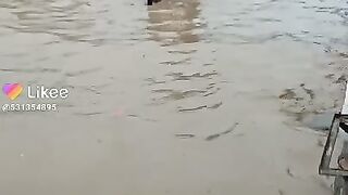 RAIN SIGHT