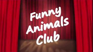 funny animal videos 2023 funny_animal_videos  funny_pets_videos  funny_animal_videos  funny_petz_videos 2023 funny animal funny videos 2023