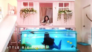 Bug Mermaid Friend's Situation
