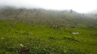 دیر ویڈیو