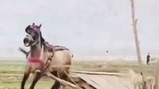 Bad video in febspot