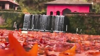 So beautiful kashmir valley