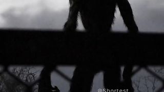 Closer to Windigo #Wendigo