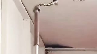 Илон воооооо даааа нууууу●♡●