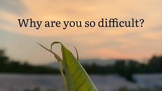Why are you so difficult ..