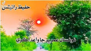sindhi status