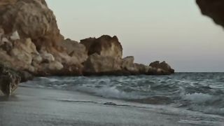 Amazing Facts Shorts
