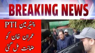 Lahore high court grants bail to Chairman PTI Imran Khan