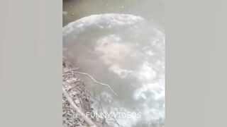 TRY NOT TO LAUGH - Funny Short Video 30 seconds ???? #24