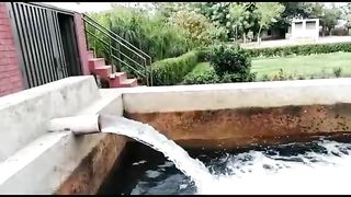 گاوں کی پر سکون اور سادہ زندگی Simple and Peaceful Life