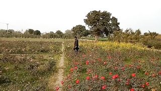 پھولوں کی خوبصورتی