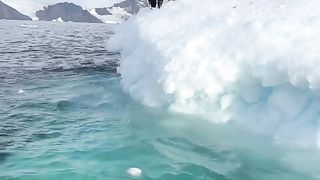 Awesome video ????