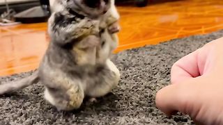 Those little hands ????
