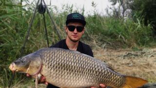 Как ловить толстолобика на технопланктон. Обзор и Коментарии опытных рыбаков