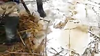 Речной монстр в зимней сплячке. Ловля сома руками на зимовалах. Реальная рыбалка