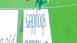 Great catch in Cricket | Awesome Catch | Pak Vs Aus