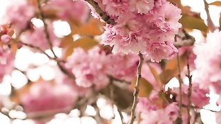 Nice flowers,????????????????????❤????❤❤????????????