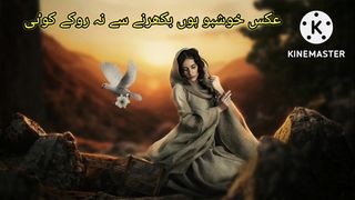 deep lines poetry |sad poetry status |heart touching urdu shayari