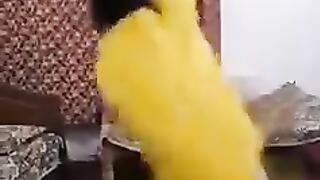 Congratulations to Peshawar zalmi-PSL