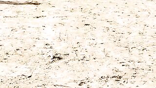 Ghura ka dance
