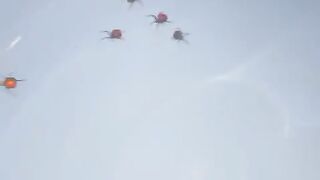 Amazing ???? vedio