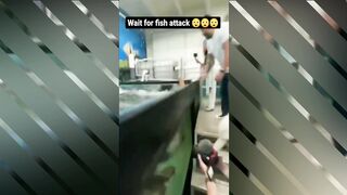 35 Reason When Animal Become Killers...!