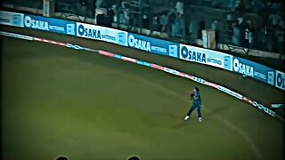 This Pakistan cricket team | cricket shorts